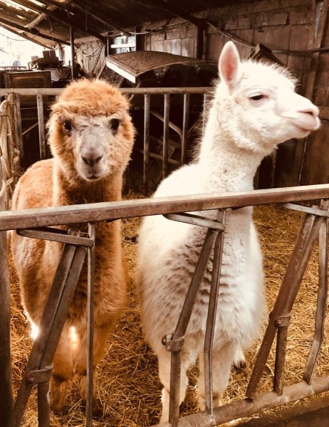 02cb1a6b-d3ba-4749-a773-b29e39f79c6c