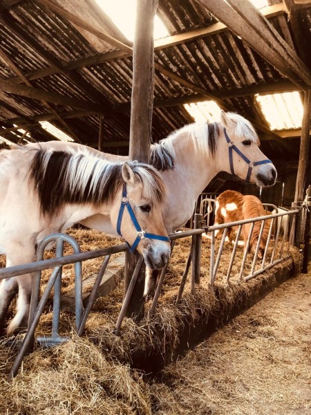 9f241997-01f4-4071-b9d8-561a2a4ce685