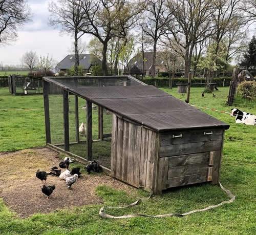 kippenhok-kinderboerderij